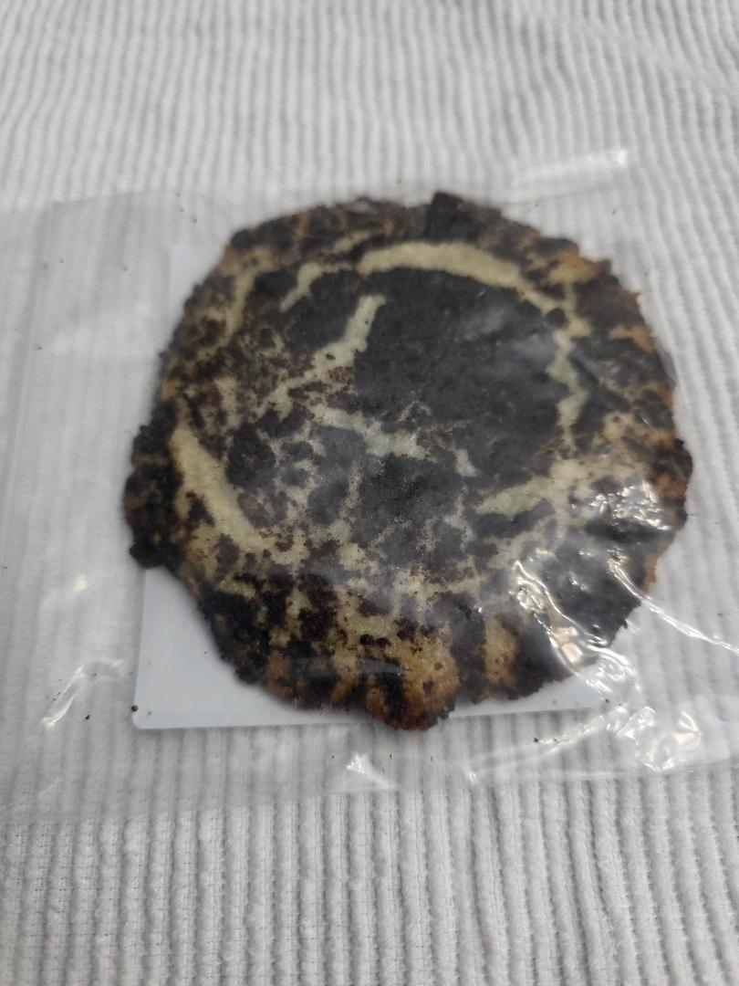 Oreo Cheesecake Cookie - Single